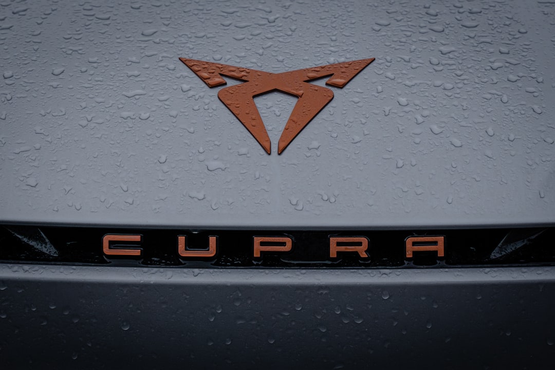 A close up of the emblem on a car