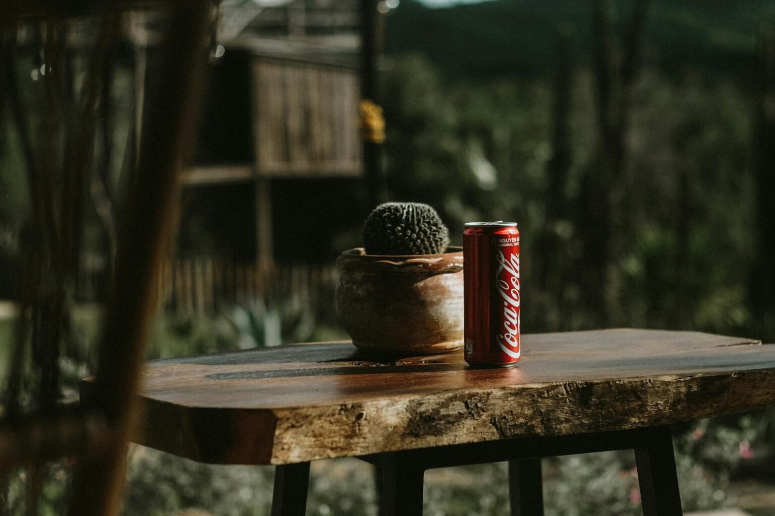 Coca-Cola: Wem gehört das Unternehmen?
