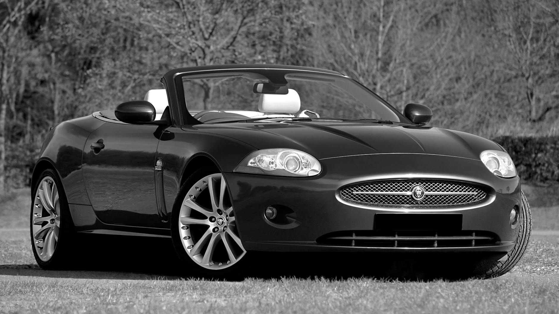 Sleek Jaguar convertible sports car in a grayscale outdoor setting.