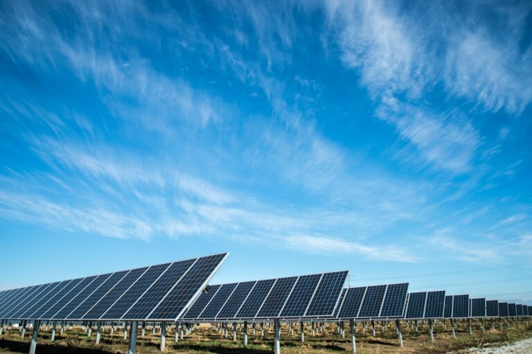 Marktführer Photovoltaik 2026: Hersteller, Leistungen und Strategien